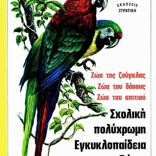 School colorful encyclopedia of animals like new