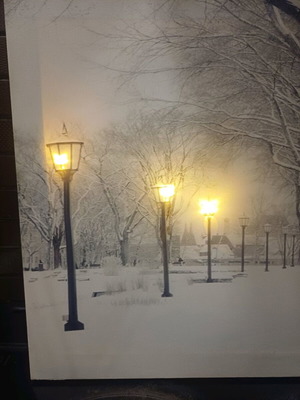 Snowy Landscape Painting with Batteries new