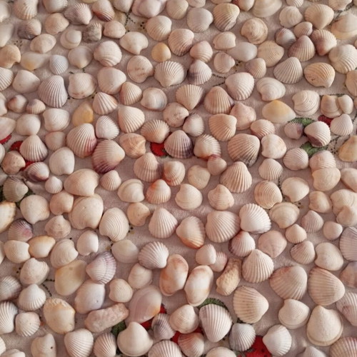 Sea decorative elements like new for crafts and home decoration