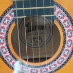 Classical guitar new