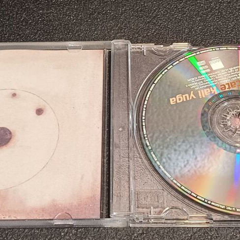 Delicate Kali Yuga CD used, trip hop 2001