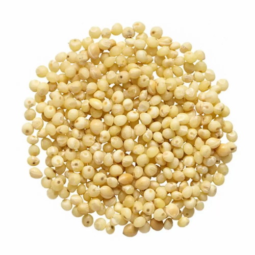 Hulled Malaysian millet new