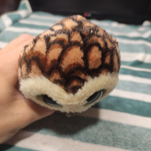 Beanie Boos Ty Plush Owl 15cm like new