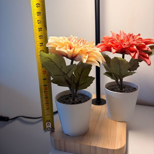 Decorative plants from IKEA, new, set of 2