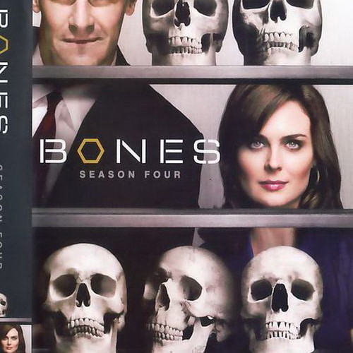 Bones Season 4 DVD used with subtitles, complete set