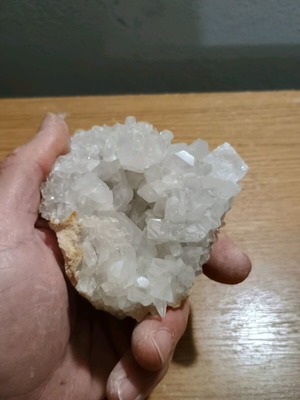 Cactus quartz new