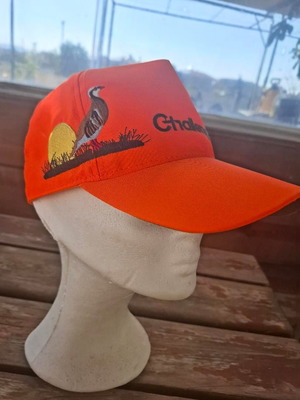 Challenger Outdoor orange cap with partridge embroidery