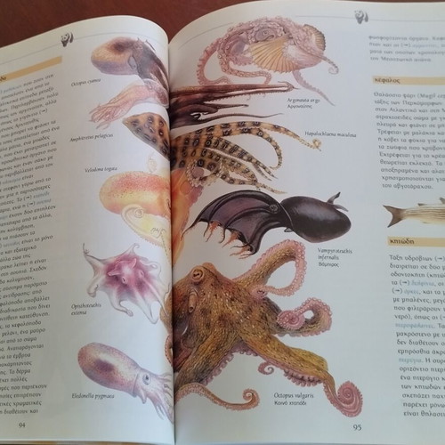 Zootiko Vasilio I, Family and Friends, I Proti Mou Egkyklopaideia children's books