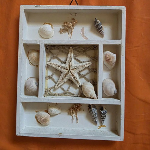 Decorative small frame with seashells like new