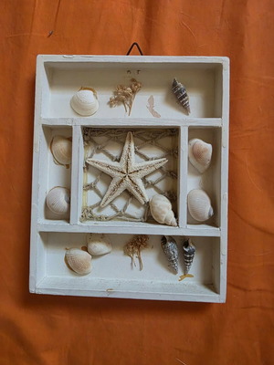Decorative small frame with seashells like new