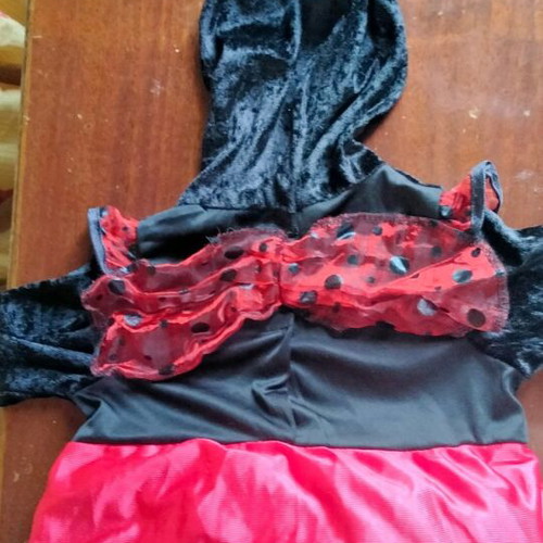 Baby costume Ladybug 12-18 months like new