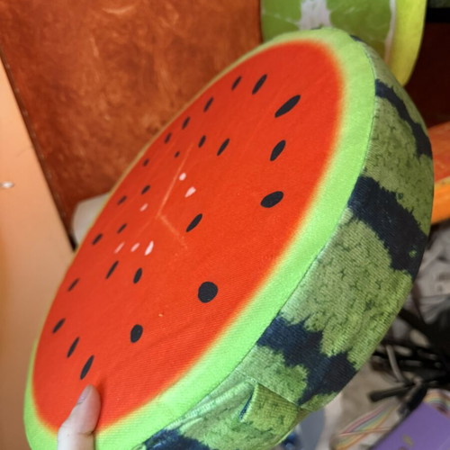 Decorative Fruit Pillows like new, watermelon, lime, and wood designs