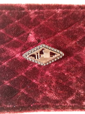 Vintage pin like new, silver with gold