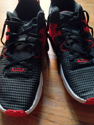 LeBron Witness VII basketball shoes, size 45