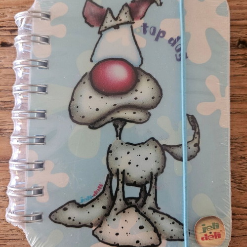 Santoro notebook new