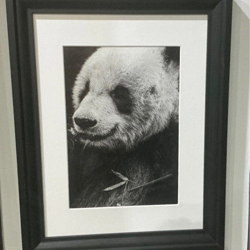 Panda canvas black and white minimal like new 30x40
