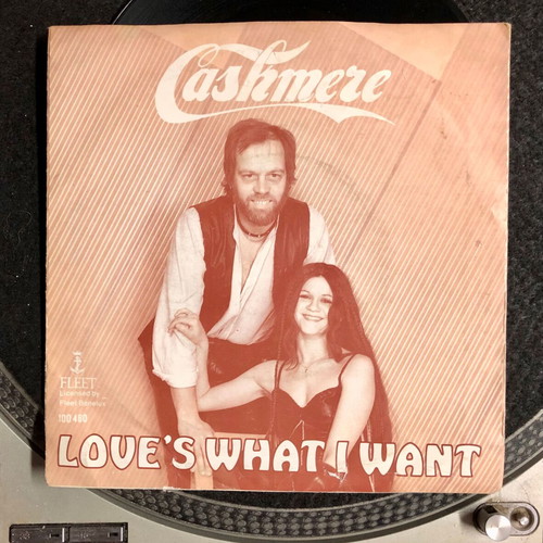 Cashmere Love's What I Want vinyl 7" single, like new, pop