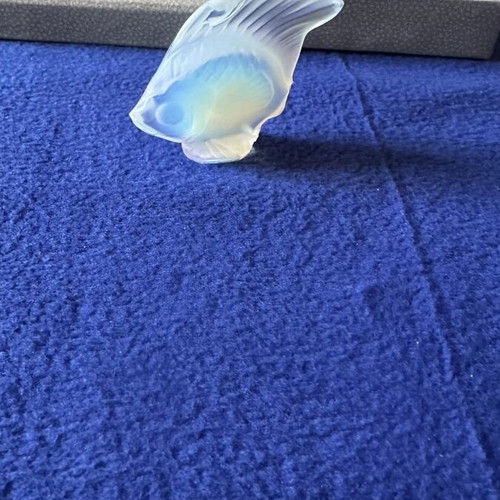 Lalique Crystal Fish used, satin glass decorative collectible