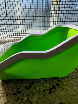 MPS Netta Open Cat Litter Box Green like new