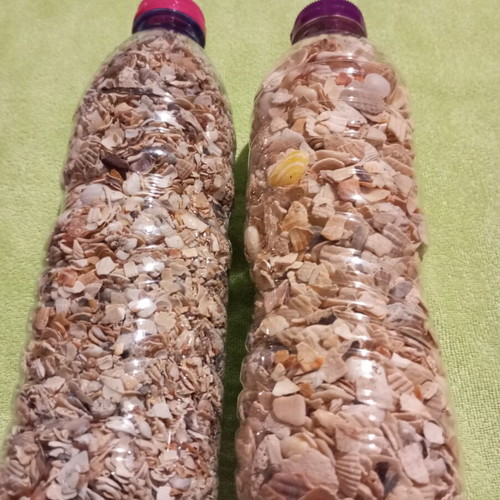 Natural Sea Mix for Crafts and Decoration like new