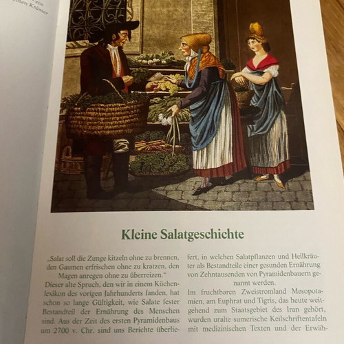 Salate cook book used, German language