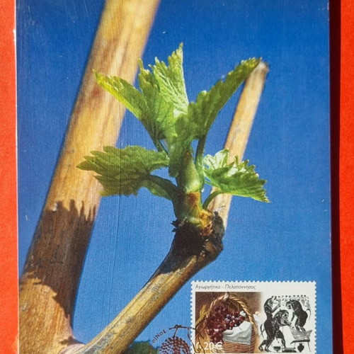 Maximum cards 05/2005 new, complete set of 5 vine wine cards