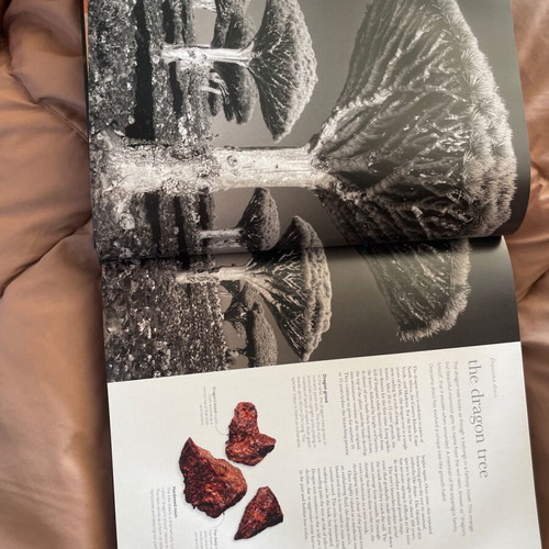 The Science of Plants book new, coffee table, English