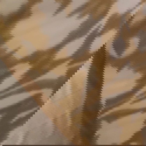 Μεγάλο διακοσμητικό μαξιλάρι καινούργιο βελούδινο λάδομουσταρδι 60x58 Coin Casa