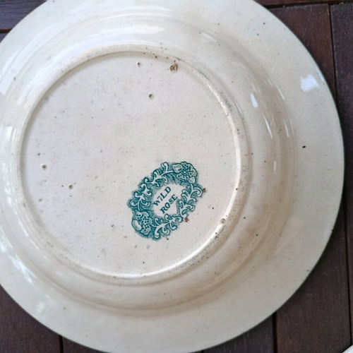 English deep plates Wild Rose Nuneham Courtenay set of 3 like new, green