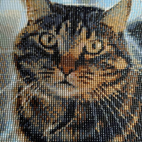 Diamond painting Cat like new, canvas 30x40 with diamonds