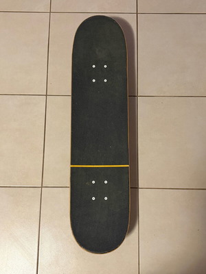 Skylord skateboard used
