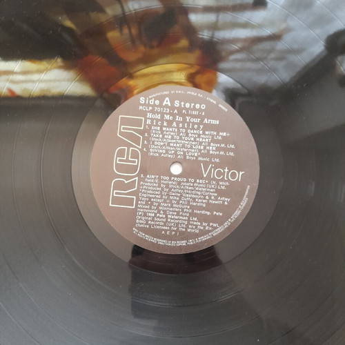Rick Astley Hold Me In Your Arms vinyl record used, pop