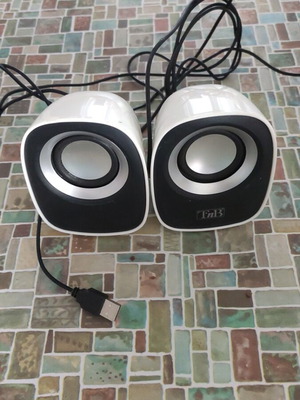 T'nB speakers used
