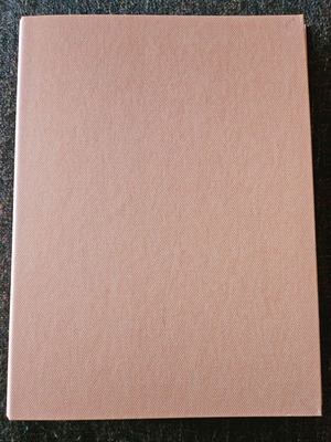 Orange A4 dossier - binder with 2 rings new