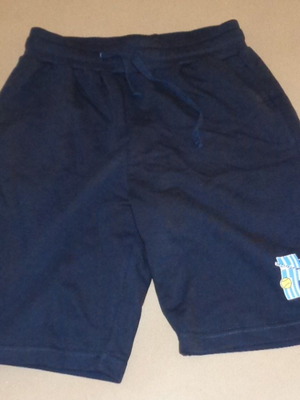 GSA Hellas Softball National Team training shorts, size Large