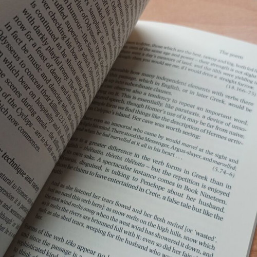 Homer The Odyssey Second Edition book like new