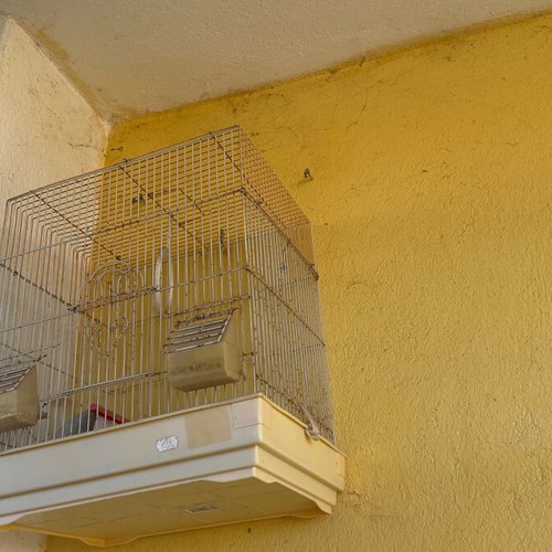 Birdcage large used with swing, waterer and two feeders