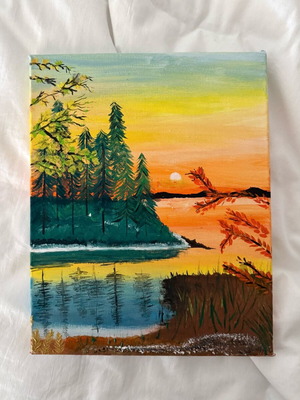 Painted canvas like new