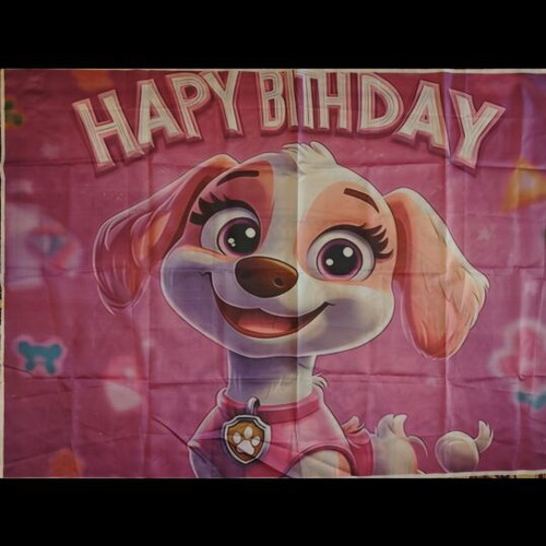 Skye Paw Patrol Happy Birthday Banner like new