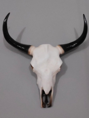 Διακοσμητικό Κεφάλι Ταύρου Replica Καινούργιο Μέγεθος 70 Εκατοστά