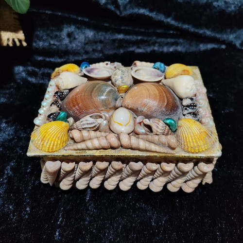 Vintage jewelry box with natural sea shells and royal velvet