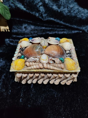 Vintage jewelry box with natural sea shells and royal velvet