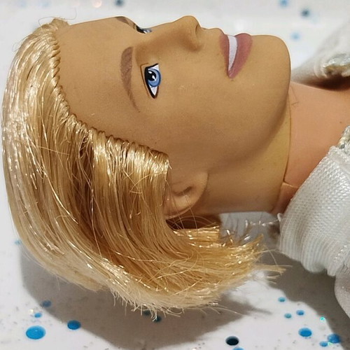 Prince Ken Barbie the Princess Collection used with damaged outfit, incomplete