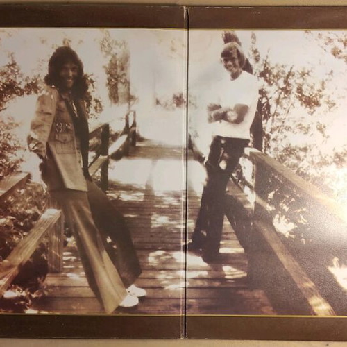 Carpenters The Singles 1969-1973 used rock vinyl