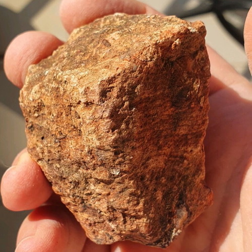 Fossilised wood from Evros, red color, new