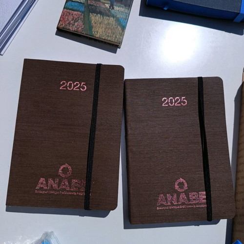 Diaries new, pack of 20 pieces