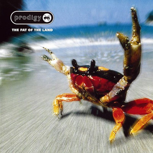 Prodigy The Fat Of The Land double vinyl LP, electronic