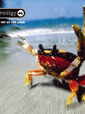 Prodigy The Fat Of The Land double vinyl LP, electronic