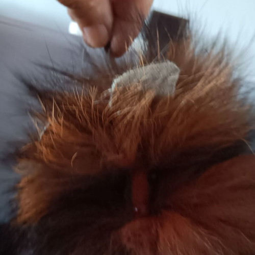 Decorative fox like new with synthetic fur