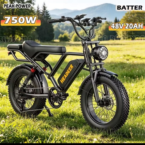 Fatbike 20" electric bike Headeer BK20 new